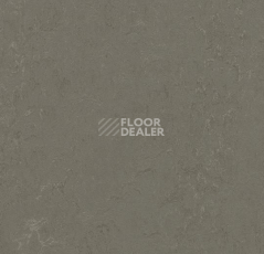 Линолеум Forbo Marmoleum Decibel on Order 372335 nebula фото 1 | FLOORDEALER